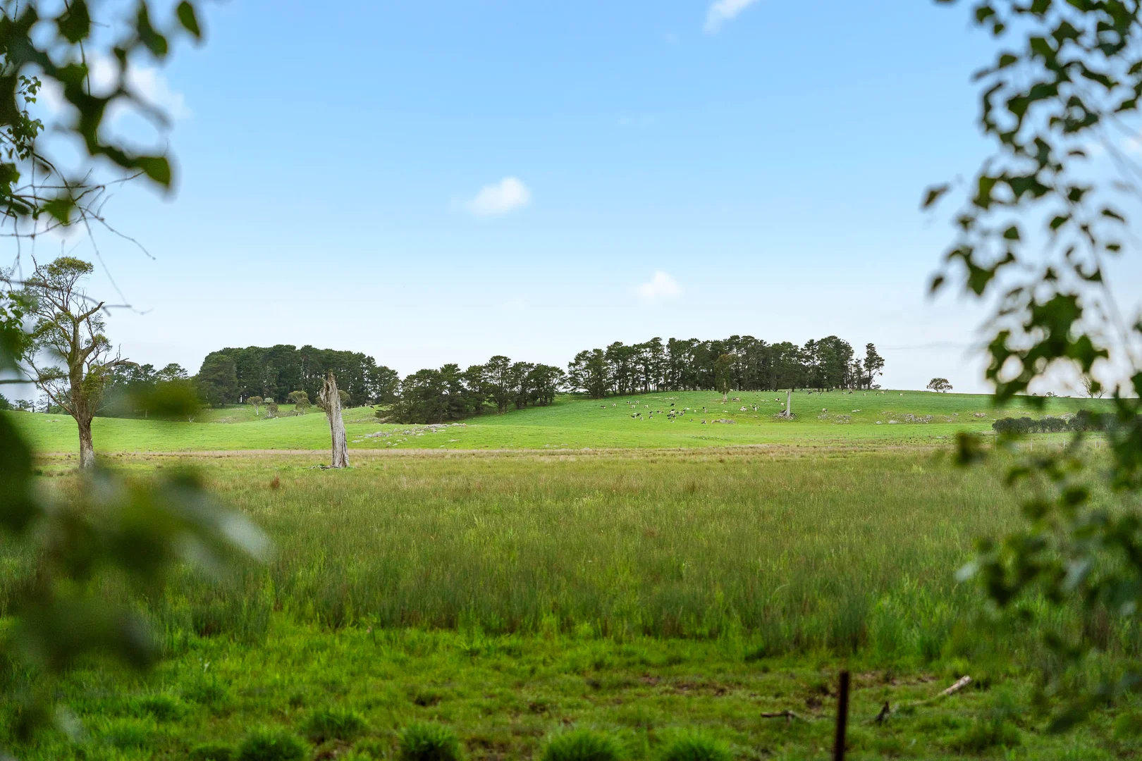 Additional image 25 of 808 Carrabungla Road, Roslyn via, Crookwell NSW 2583