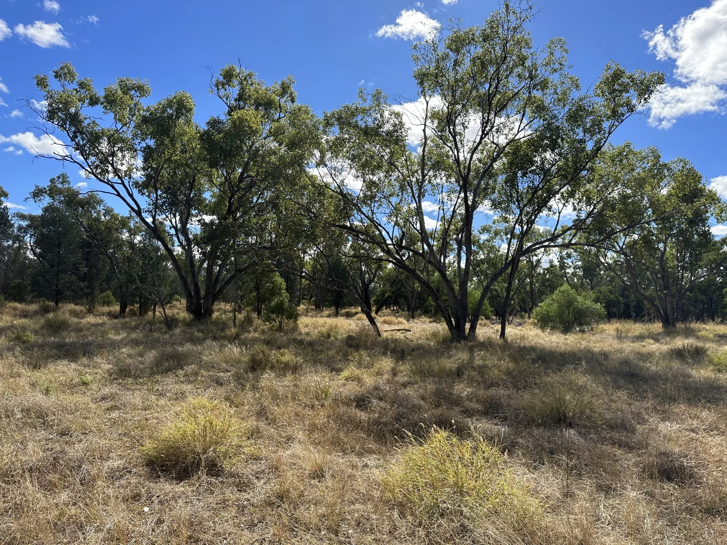Additional image 3 of 0 Zieman Street, Bakers Bend QLD 4470