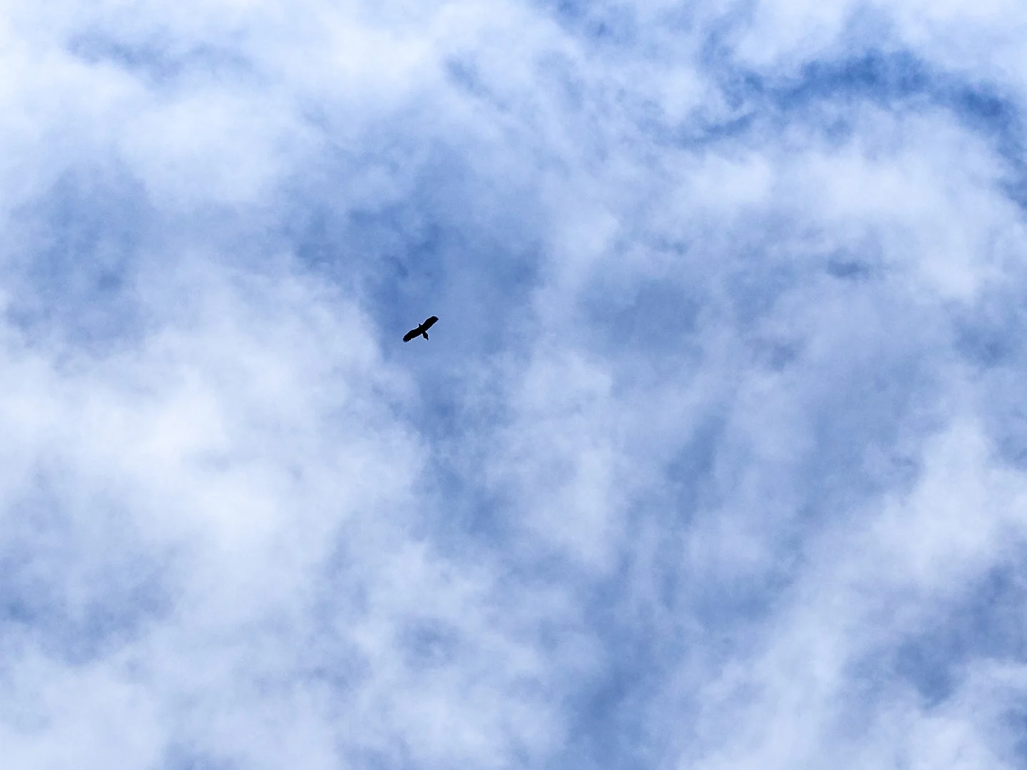 Additional image 9 of "Mundys" 475 Saltwater River Road, Saltwater River TAS 7186