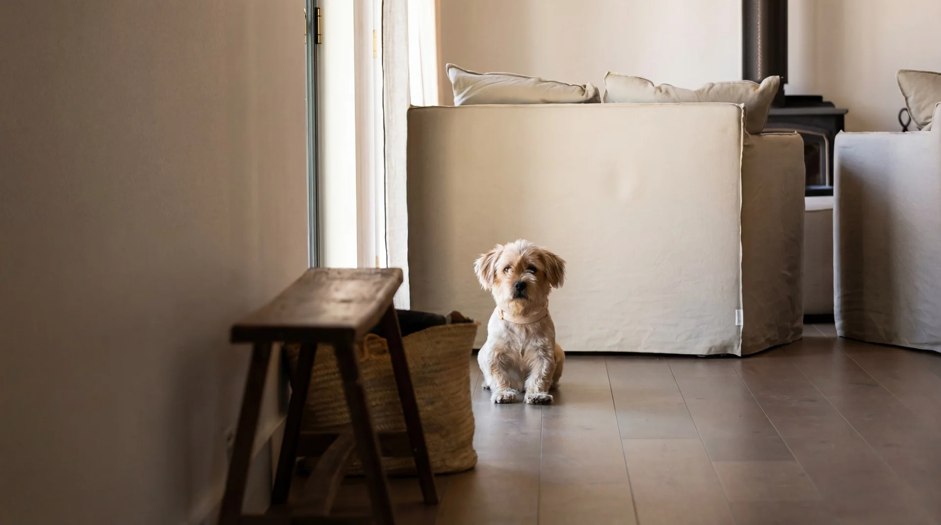 Additional image 17 of 7 Chestnut Close, Mudgee NSW 2850