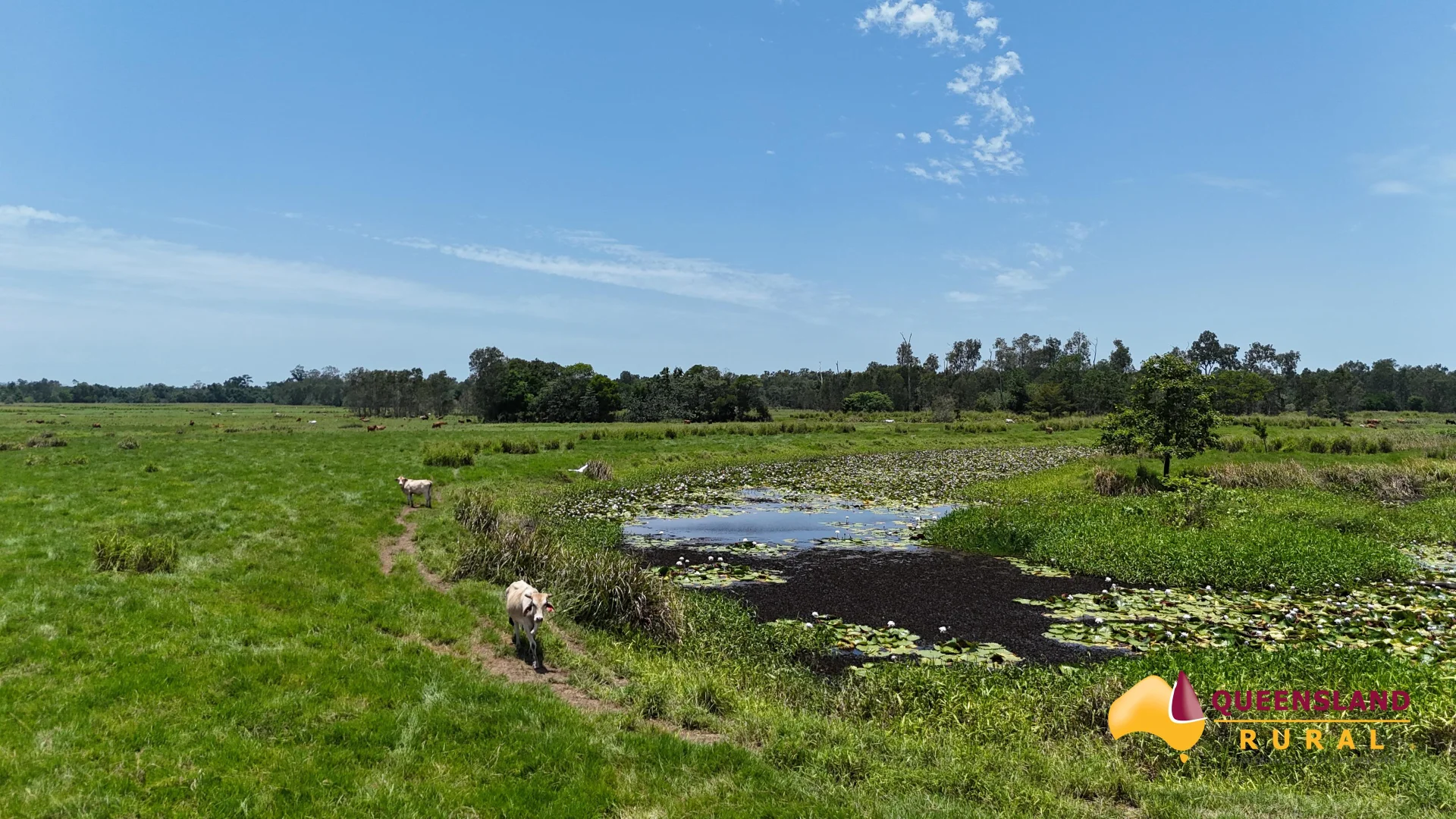 Additional image 3 of Euramo QLD 4854