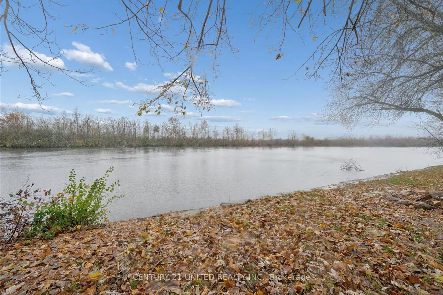 Additional image 20 of 266 Greenwood Road