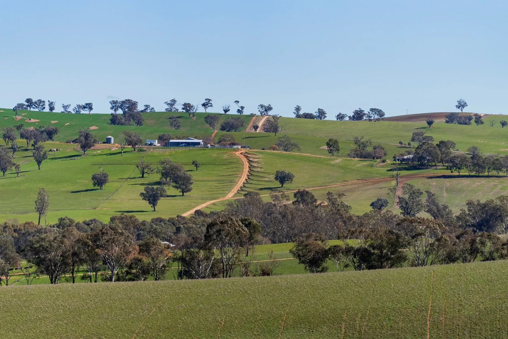 Additional image 16 of 670 Leahy Road, Wagga Wagga NSW 2650