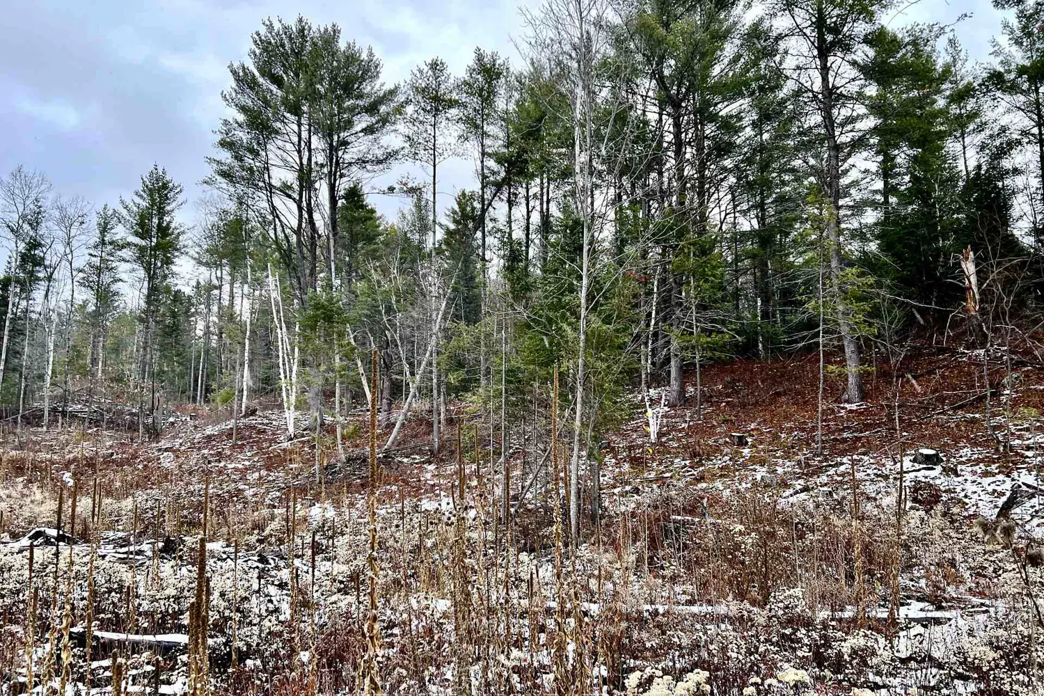 Additional image 11 of 744 Black Creek Road