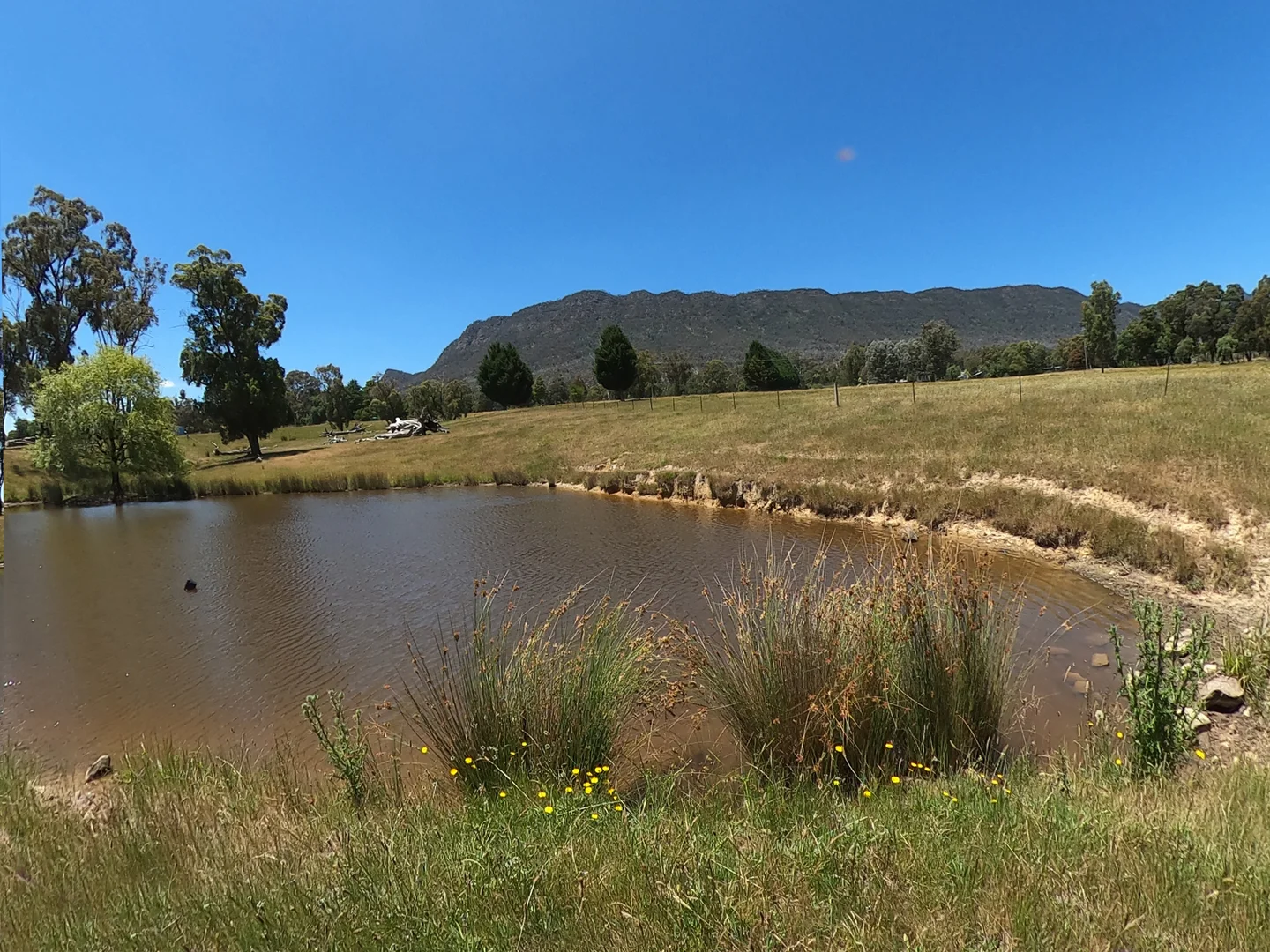 Additional image 27 of 2781 Maroondah Highway, Taggerty VIC 3714