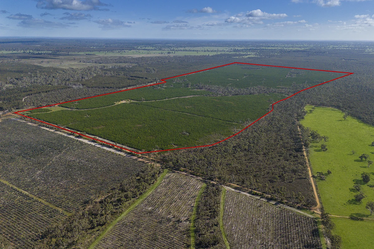 Additional image 2 of 125 Moonlight Road, Killara VIC 3312