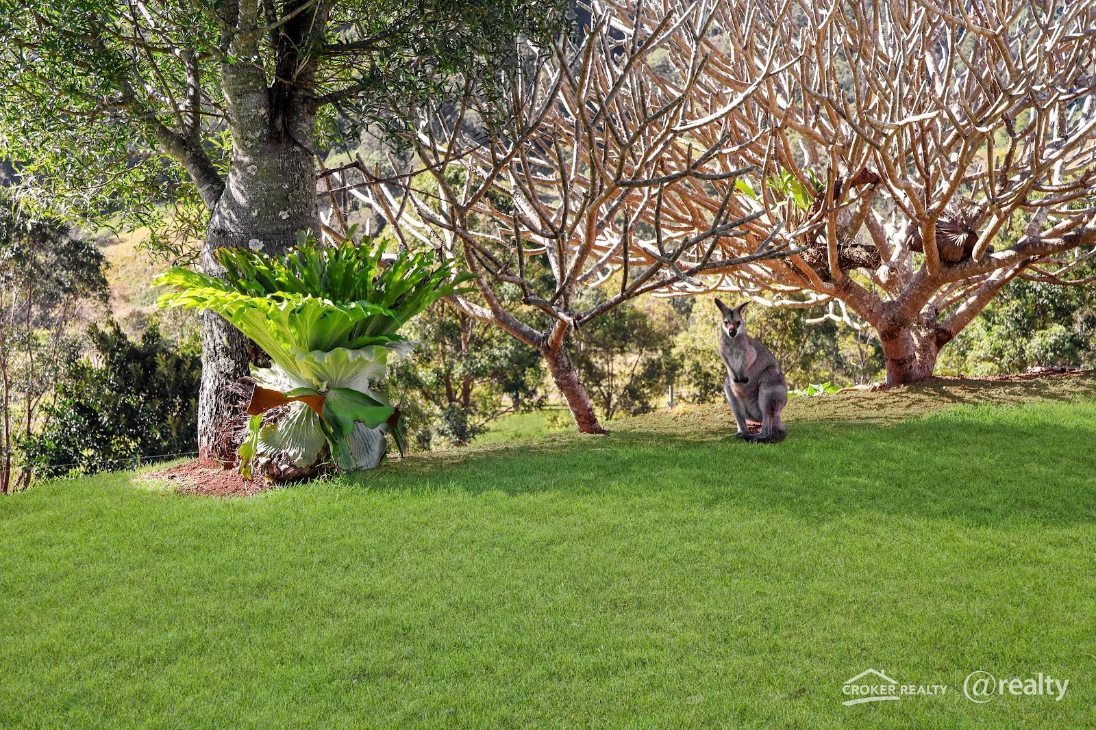 Additional image 17 of 473 Smiths Creek Road, Smiths Creek NSW 2474