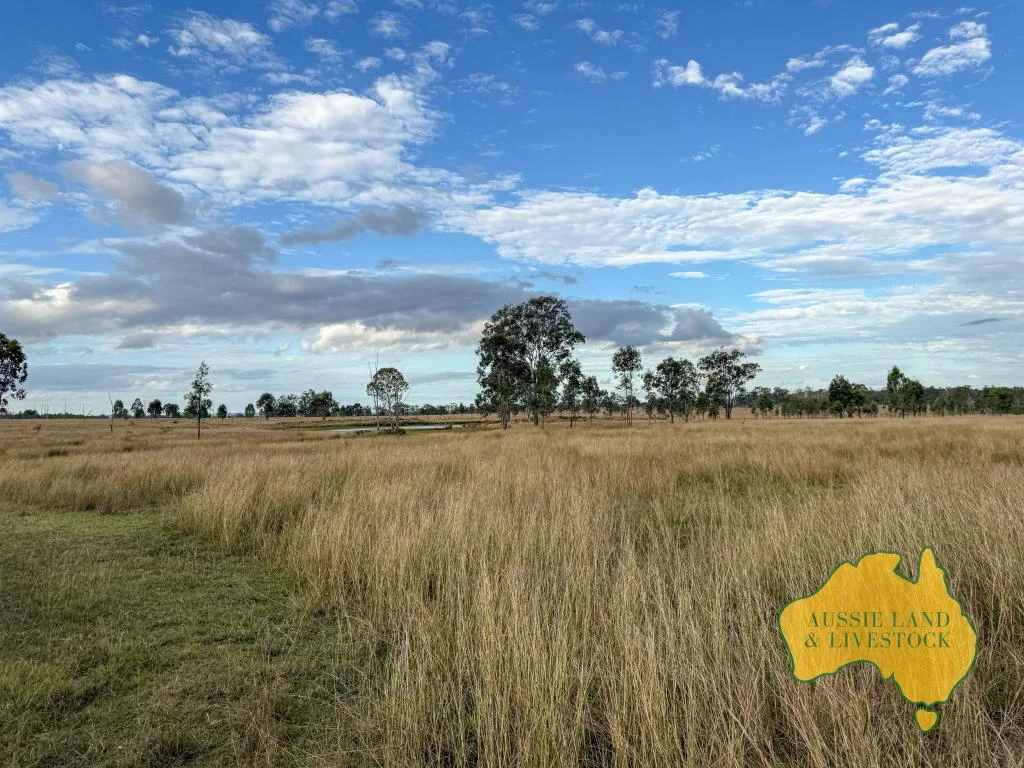 Additional image 32 of 8 SCREENING PLANT ROAD, Cynthia QLD 4627