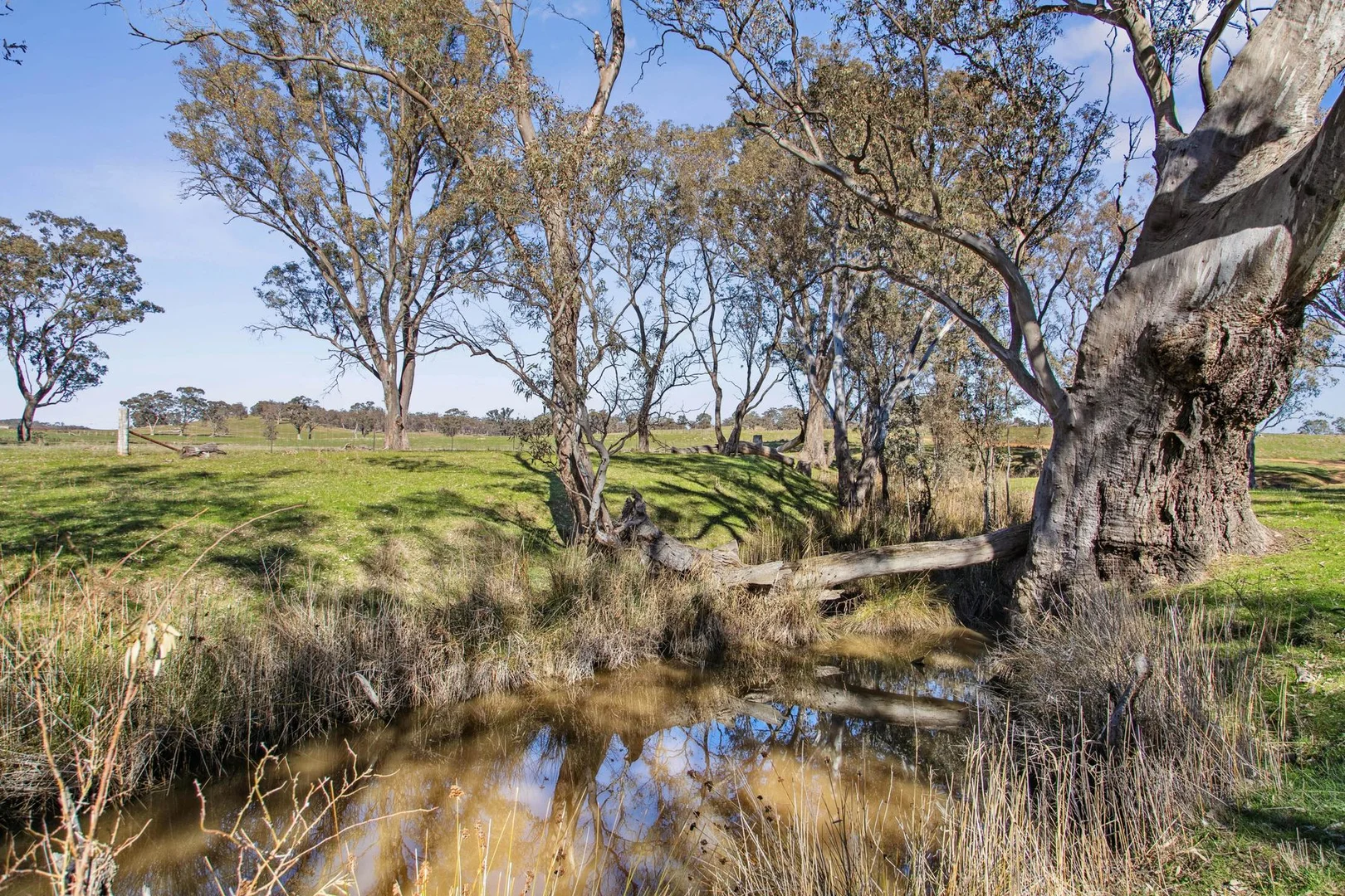 Additional image 15 of "Cairn Hill" Cnr Patons & Doles Road, Kimbolton VIC 3551