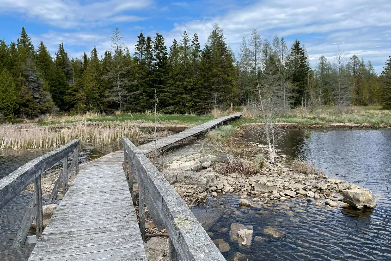 Additional image 5 of 25 Simpson Avenue