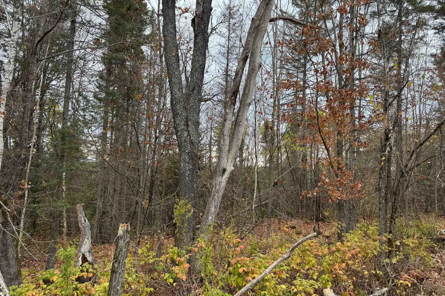 Additional image 3 of 0-2 Bennett Road