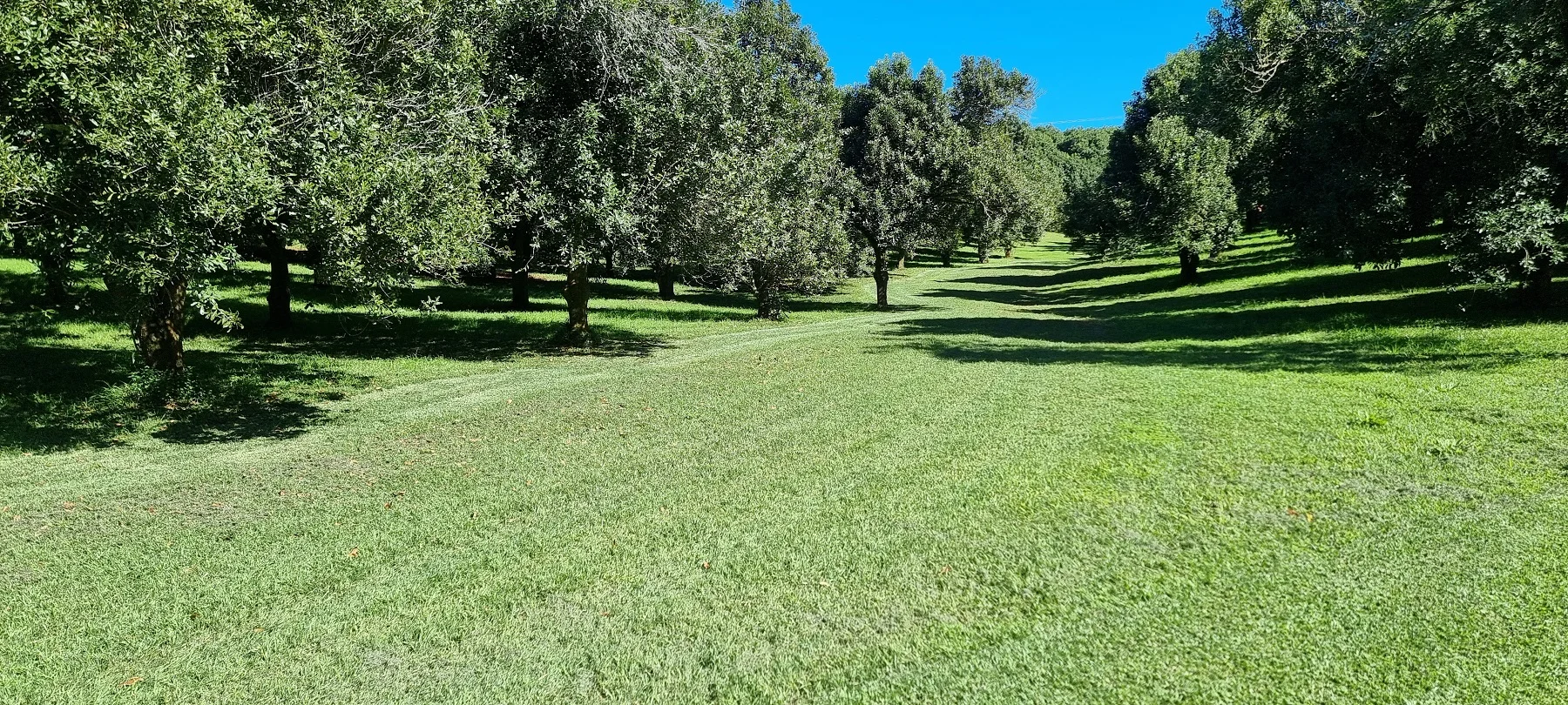 Additional image 10 of 161 Fletcher Road, Dunoon NSW 2480