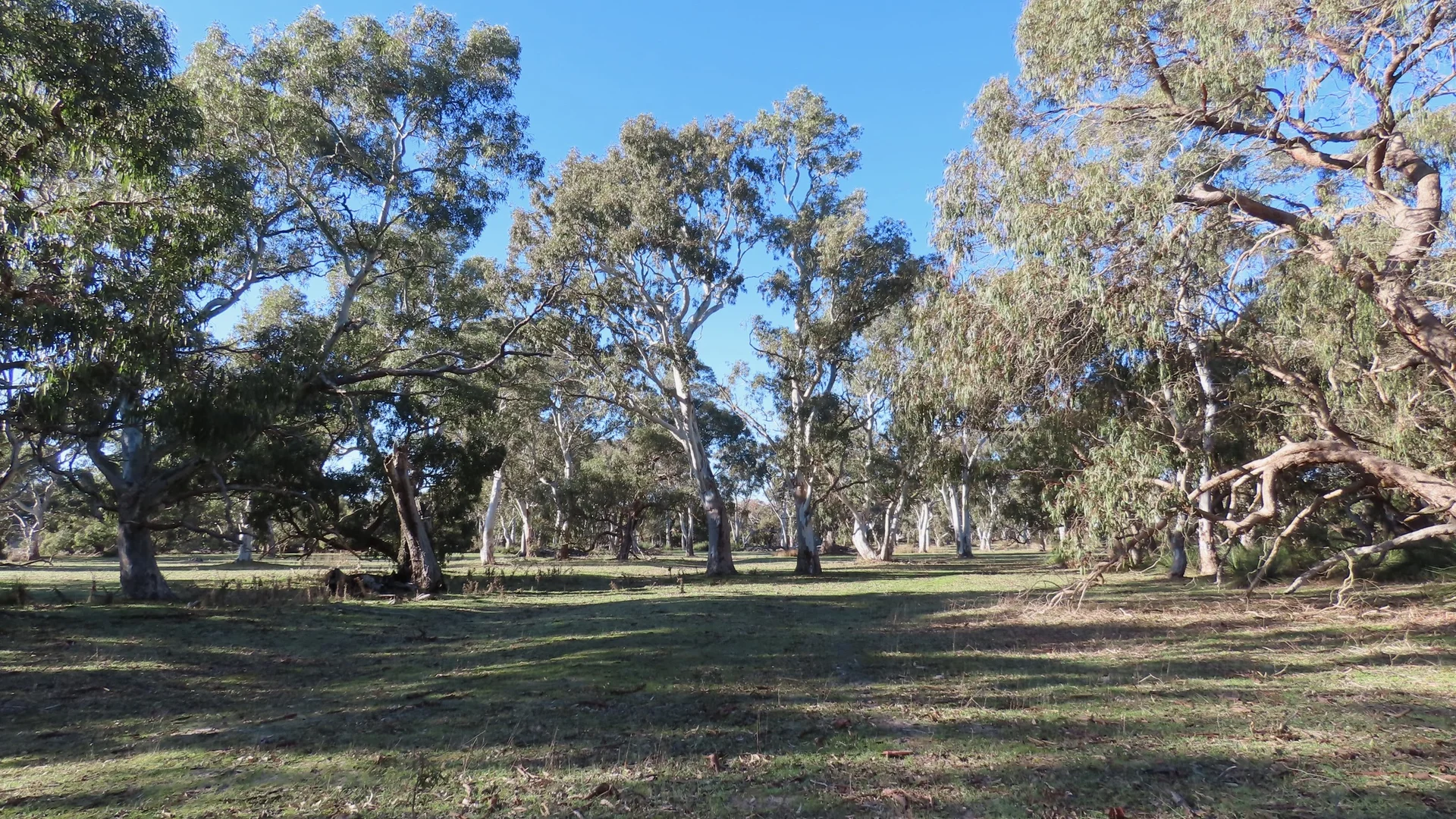 Additional image 3 of 225 Coles-Killanoola Road, Coles SA 5272