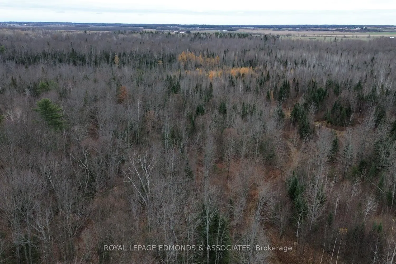 Additional image 7 of 710 Westmeath Road