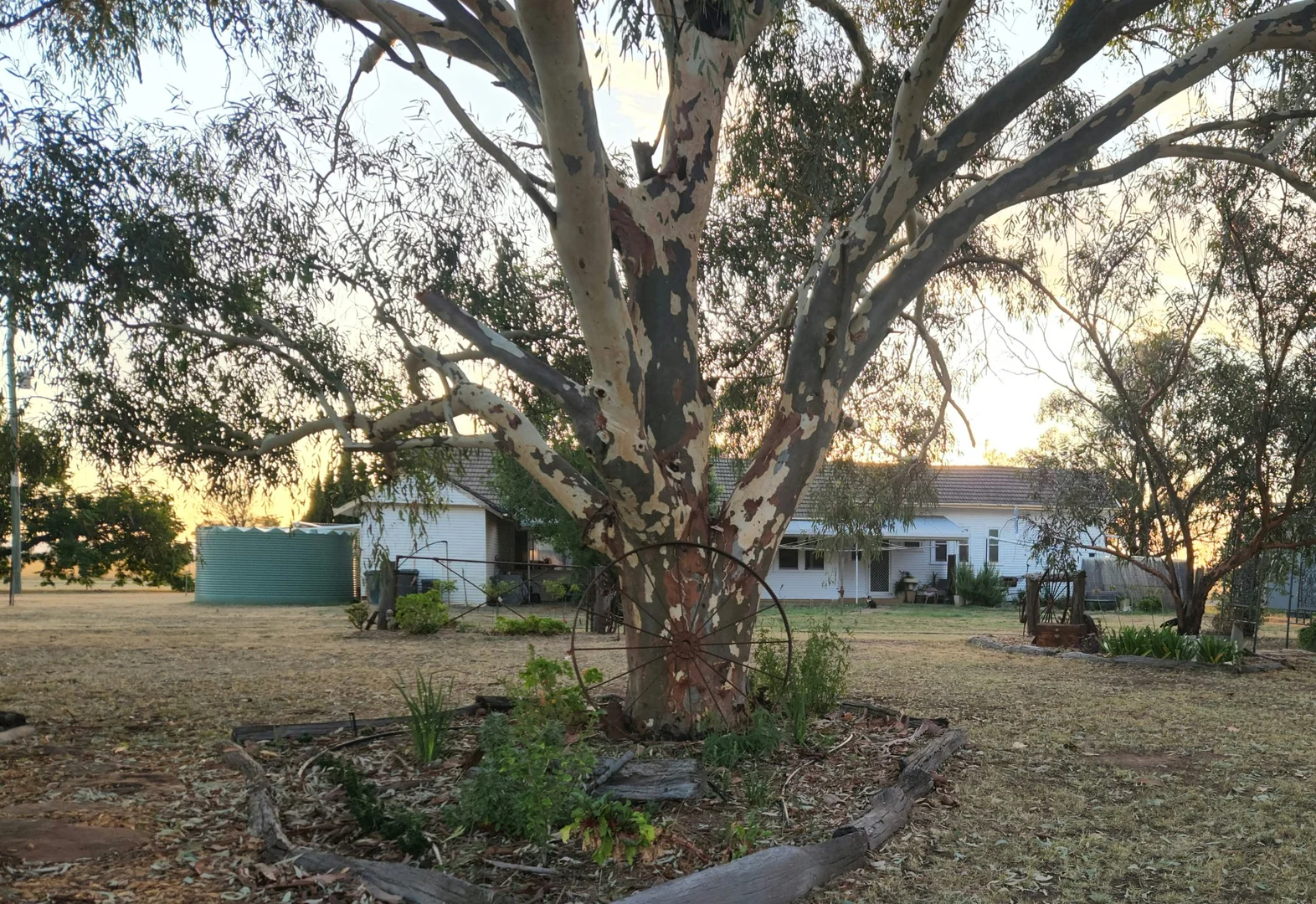 Additional image 35 of 655 Boorr Hill Road, Parkes NSW 2870