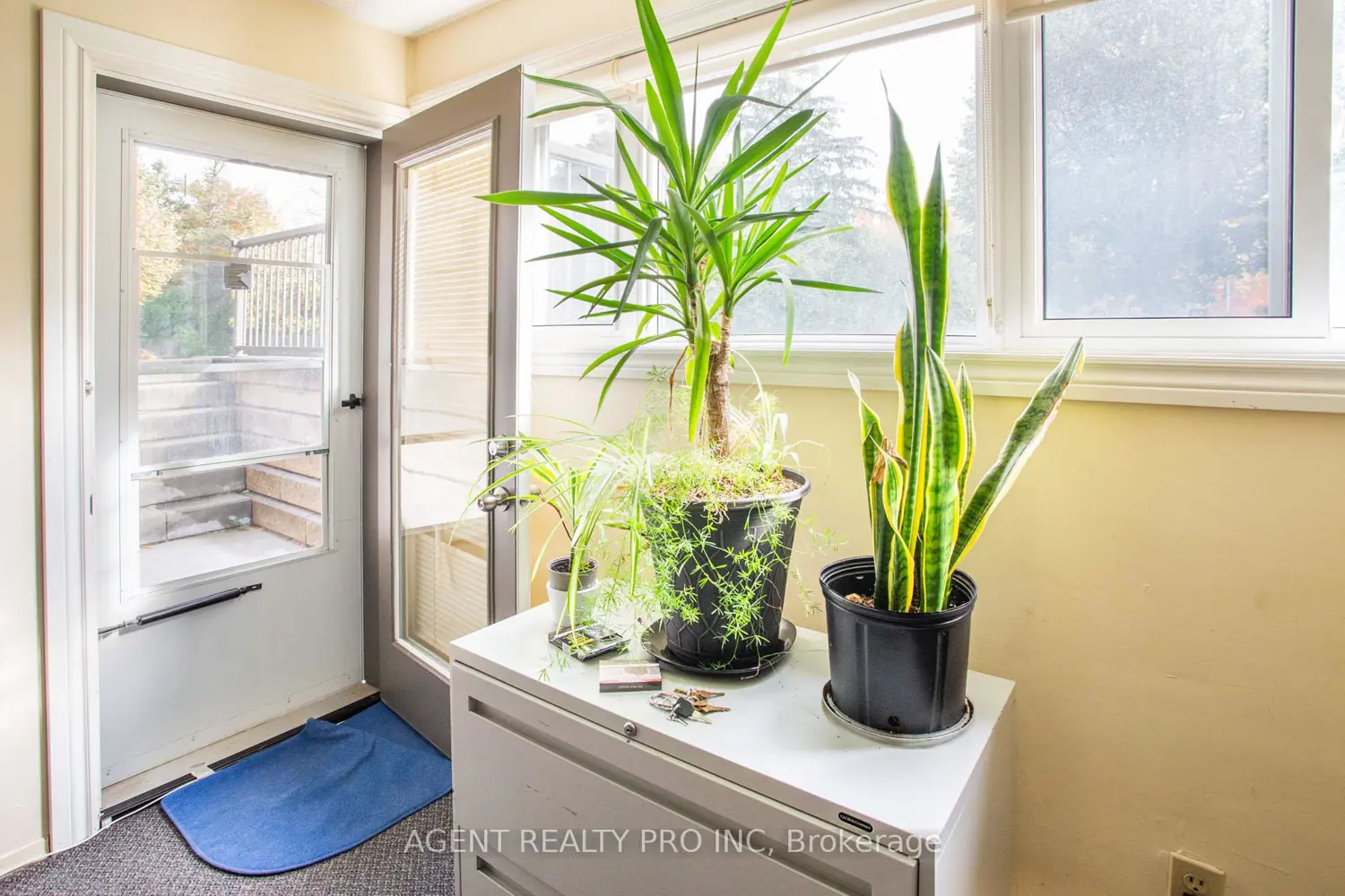 Additional image 14 of 5 Jacksway Crescent 117