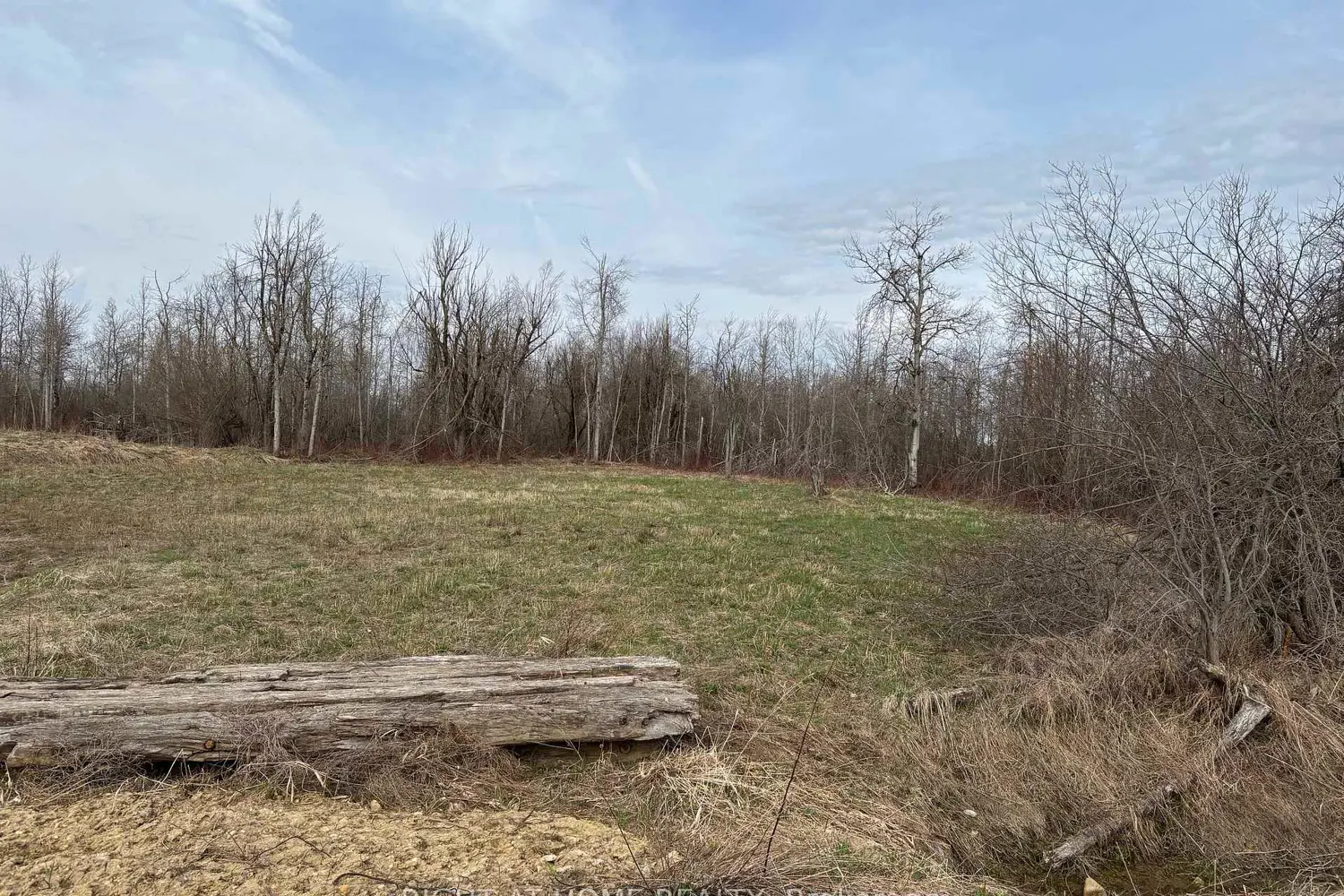 Additional image 2 of Conc 2 5Th Line