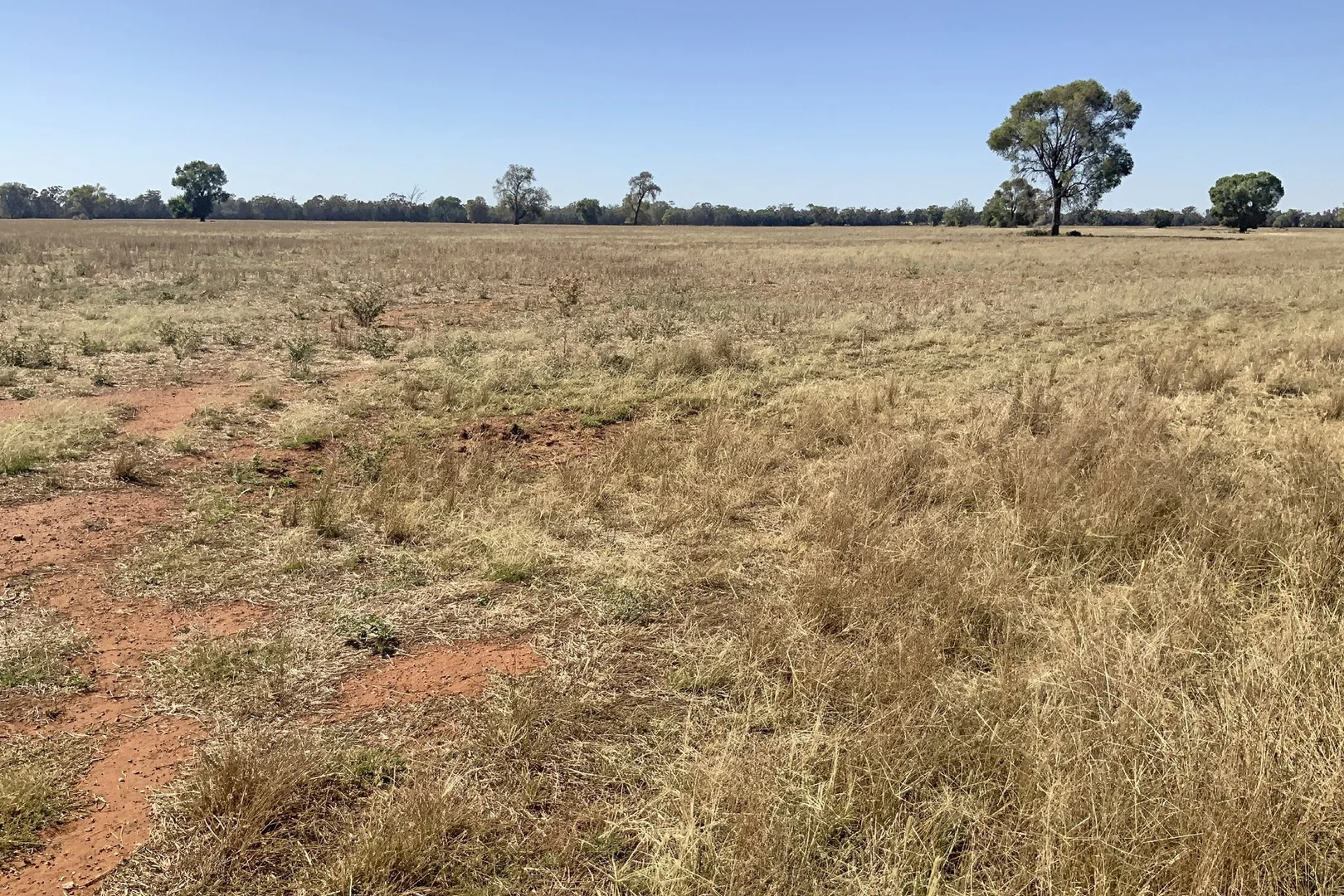 Additional image 12 of 703 Yethera Road, Tullamore NSW 2874