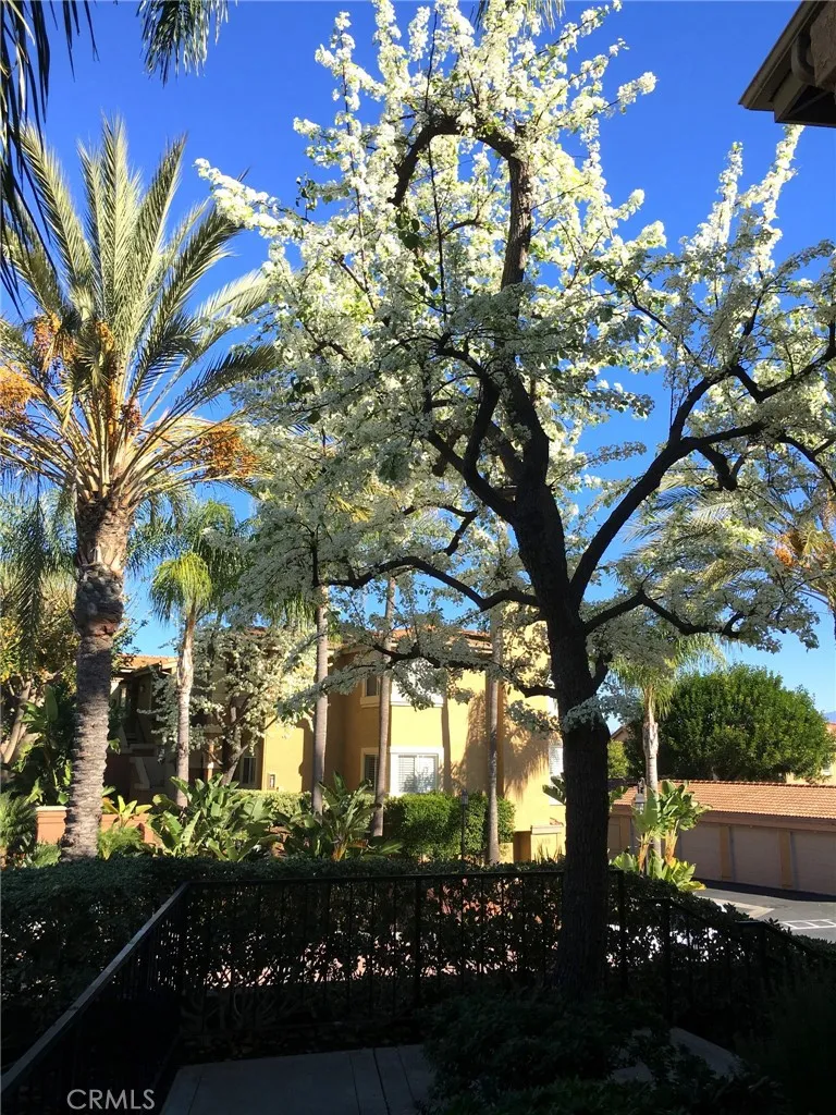 Additional image 64 of 30902 Clubhouse Drive Unit 3G, Laguna Niguel, CA 92677