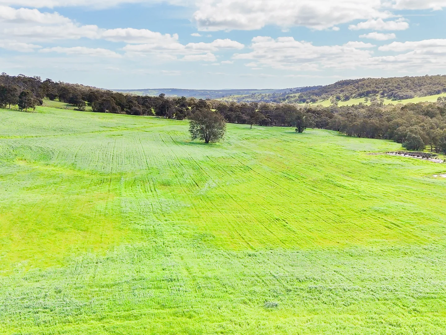 Additional image 66 of 3101 Bindoon-Dewars Pool Road, Bindoon WA 6502