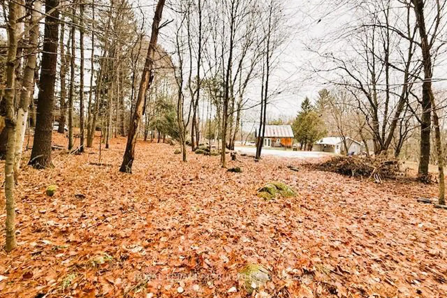 Additional image 4 of 93 Town Line Road