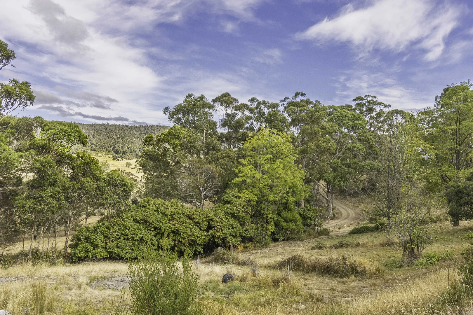 Additional image 46 of 242 Woolleys Road, Lonnavale TAS 7109