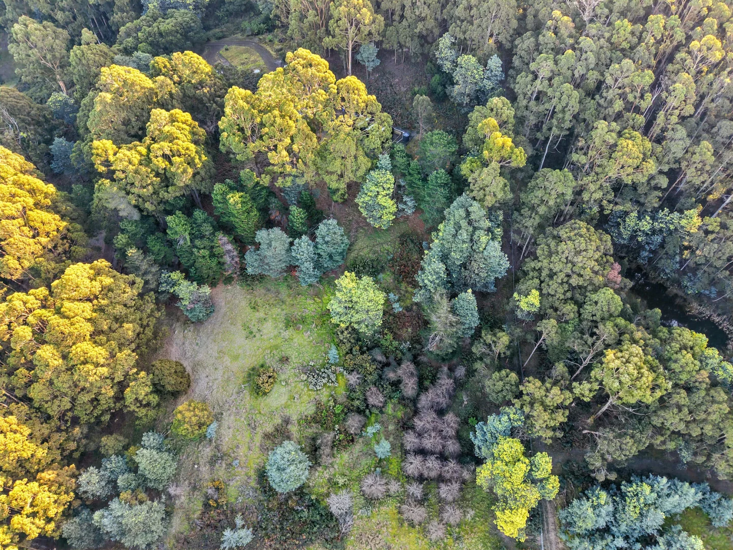 Additional image 10 of 50 McDowall Street, Middleton TAS 7163