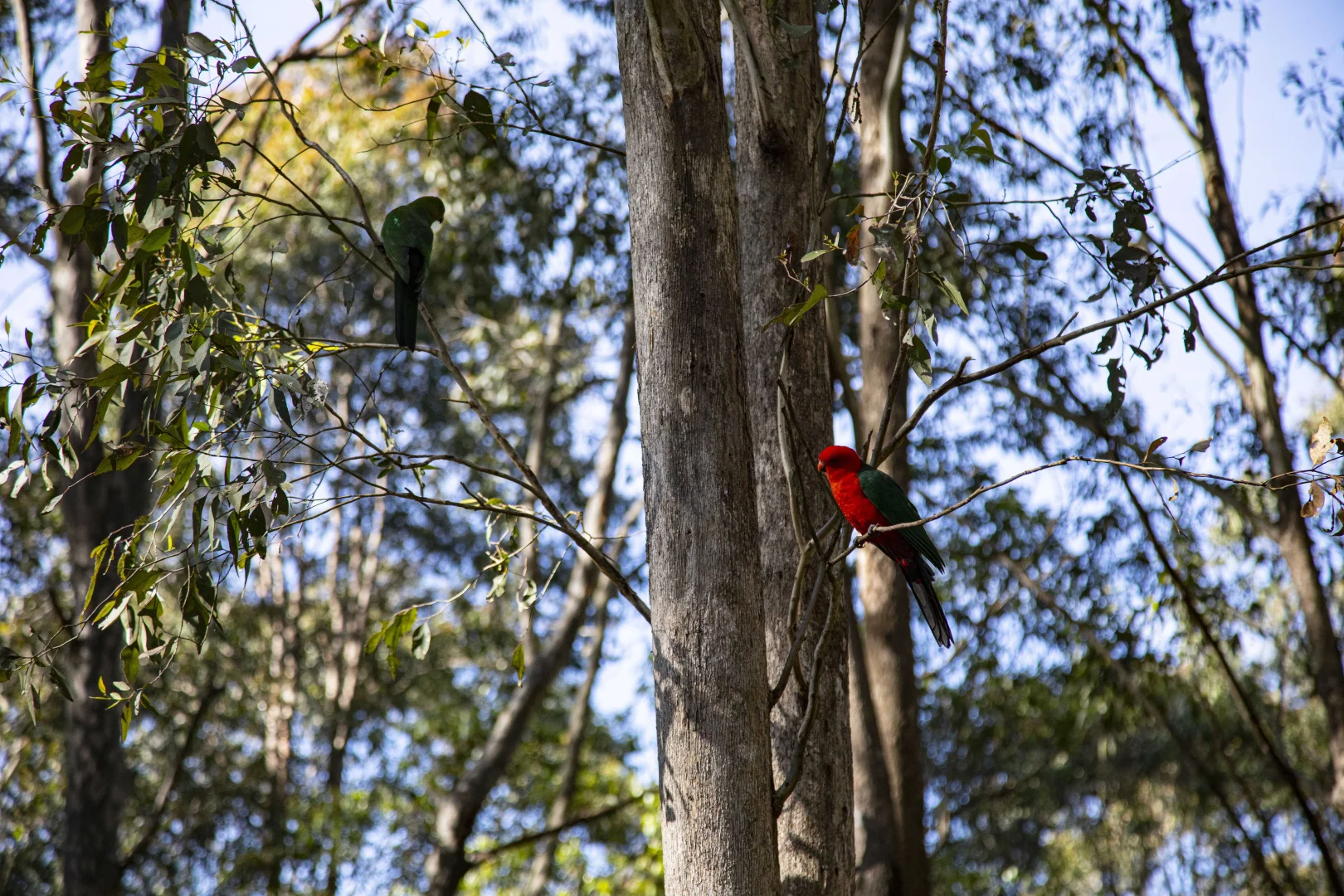 Additional image 21 of 576 Sandy Creek Road, Quorrobolong NSW 2325