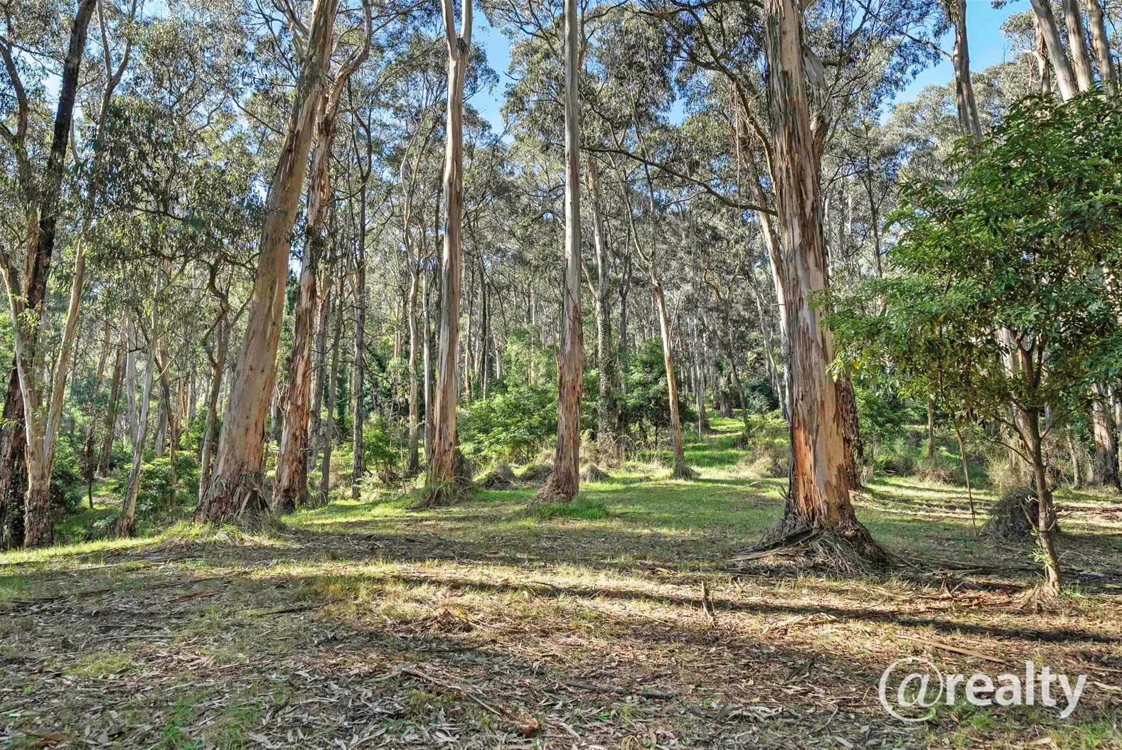 Additional image 23 of 71-73 Mast Gully Road, Upwey VIC 3158