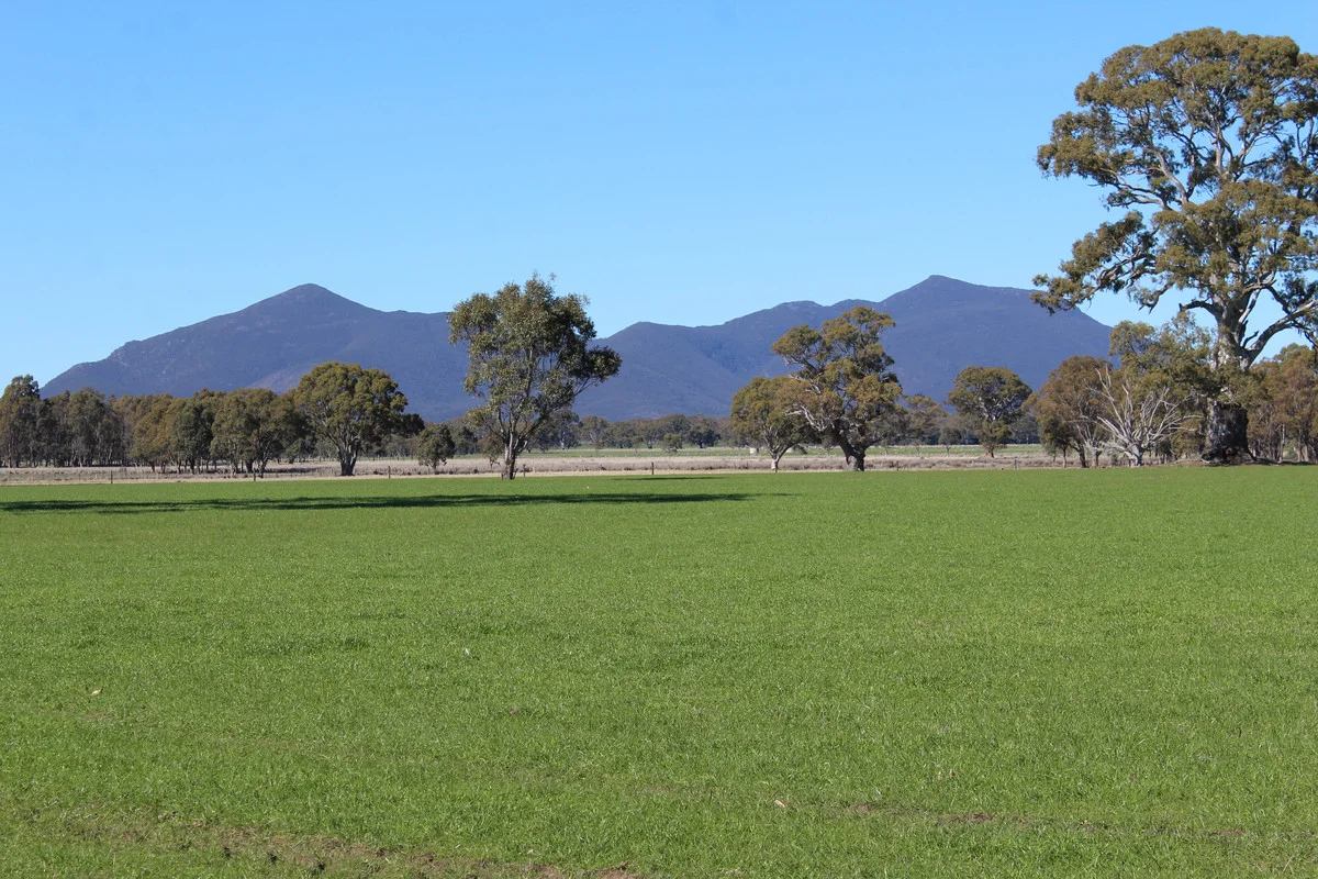 Additional image 25 of 687 Victoria Point Road, Victoria Point VIC 3294