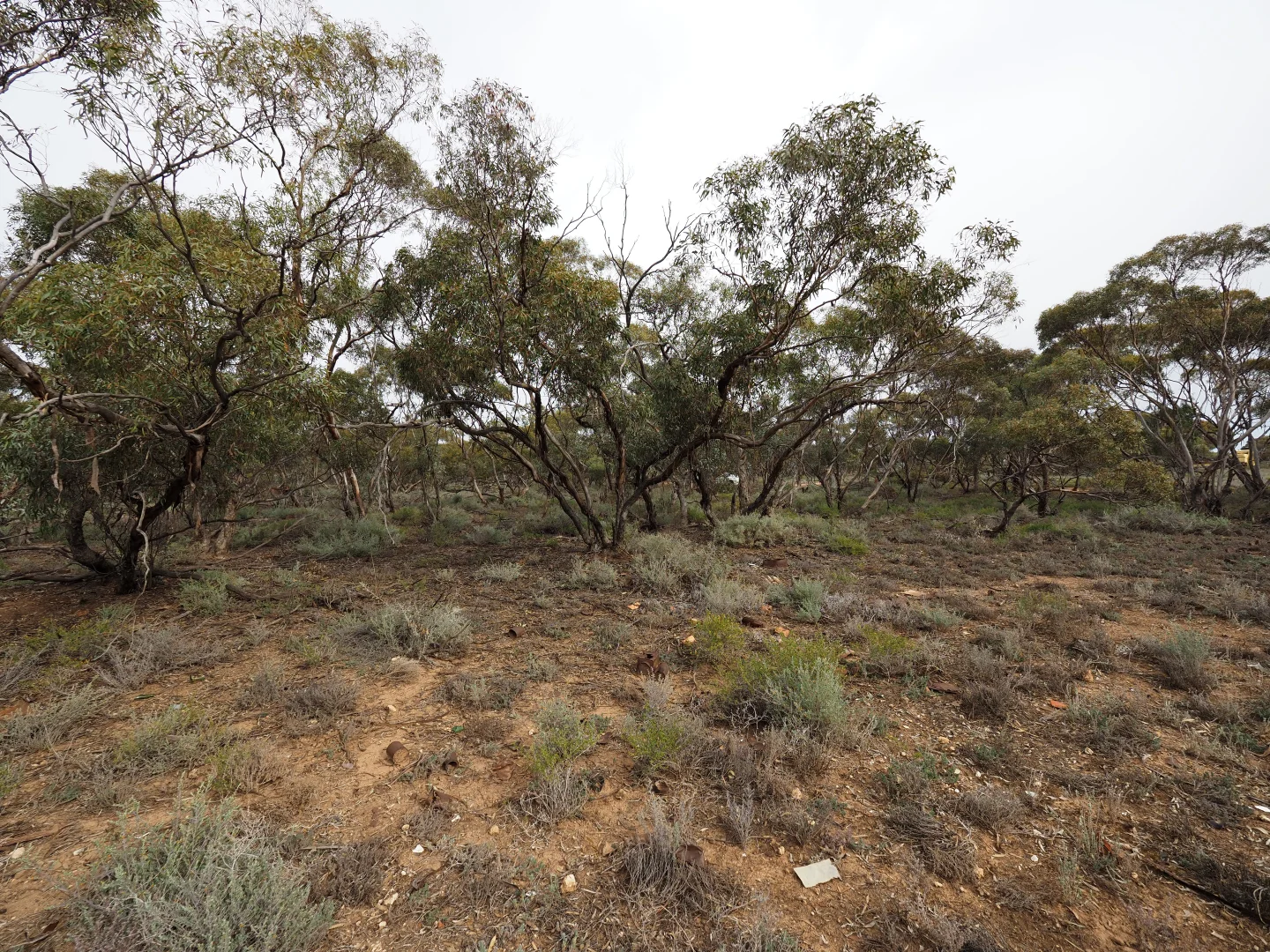 Additional image 17 of Lots 1-6, Towns Street, Chillingollah VIC 3585