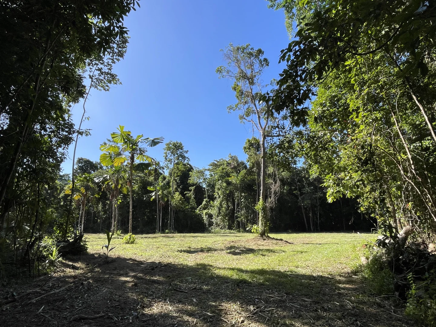 Additional image 2 of 1377 El Arish Mission Beach Rd, Mission Beach QLD 4852