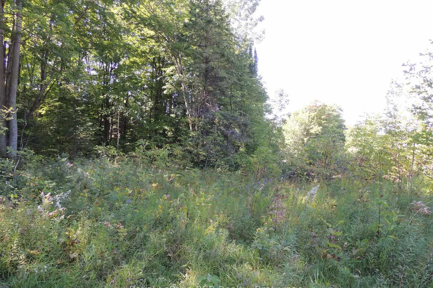 Additional image 5 of Lt 35 Highland Drive