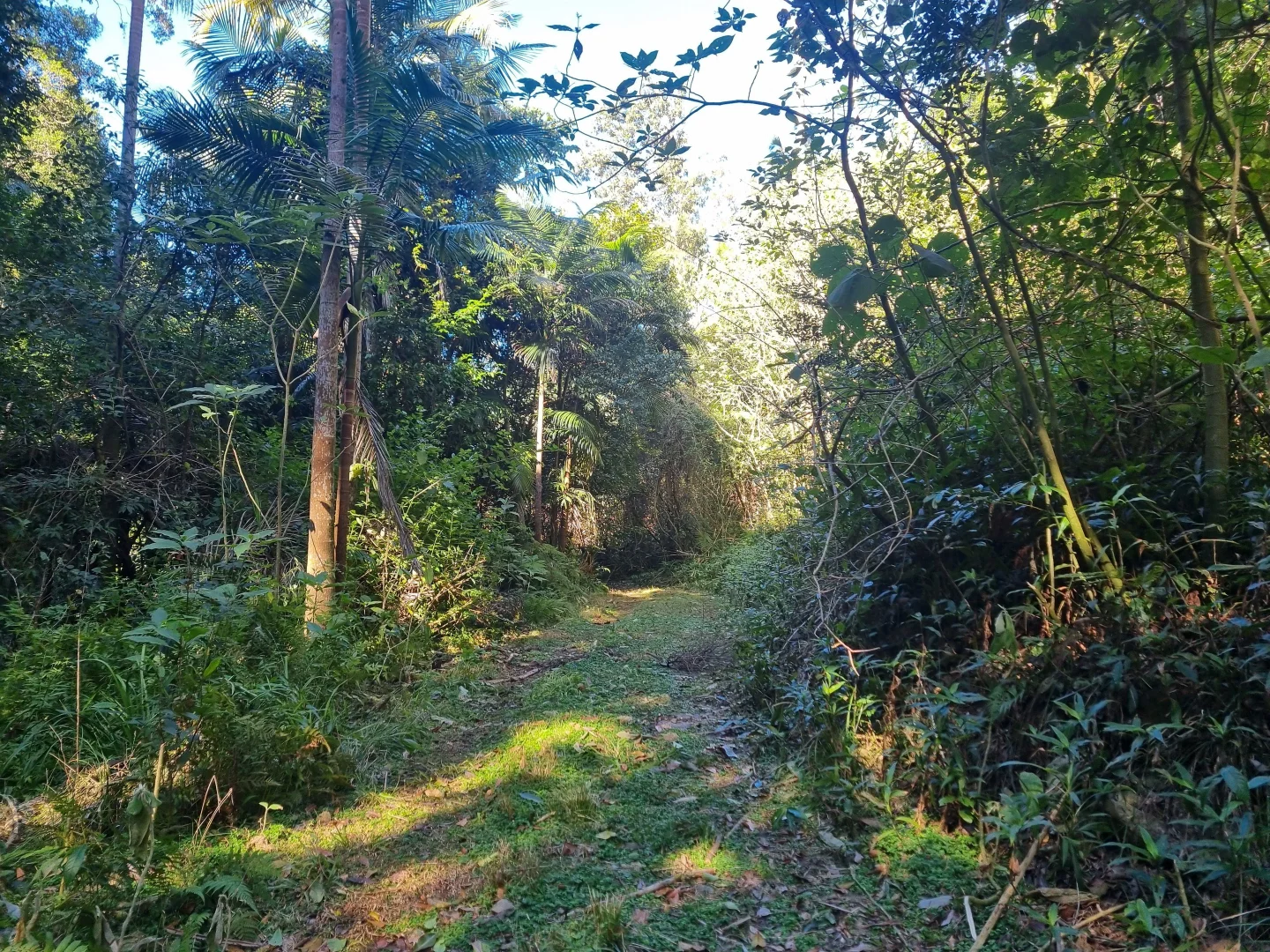 Additional image 30 of Bellangry NSW 2446