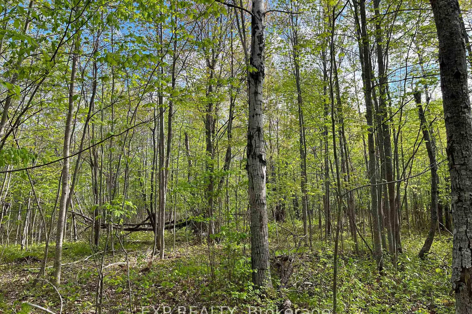 Additional image 5 of Lot 4 Sandy Shores Trail