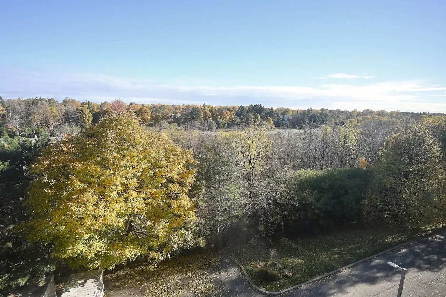 Additional image 11 of 320 Mill Street 512