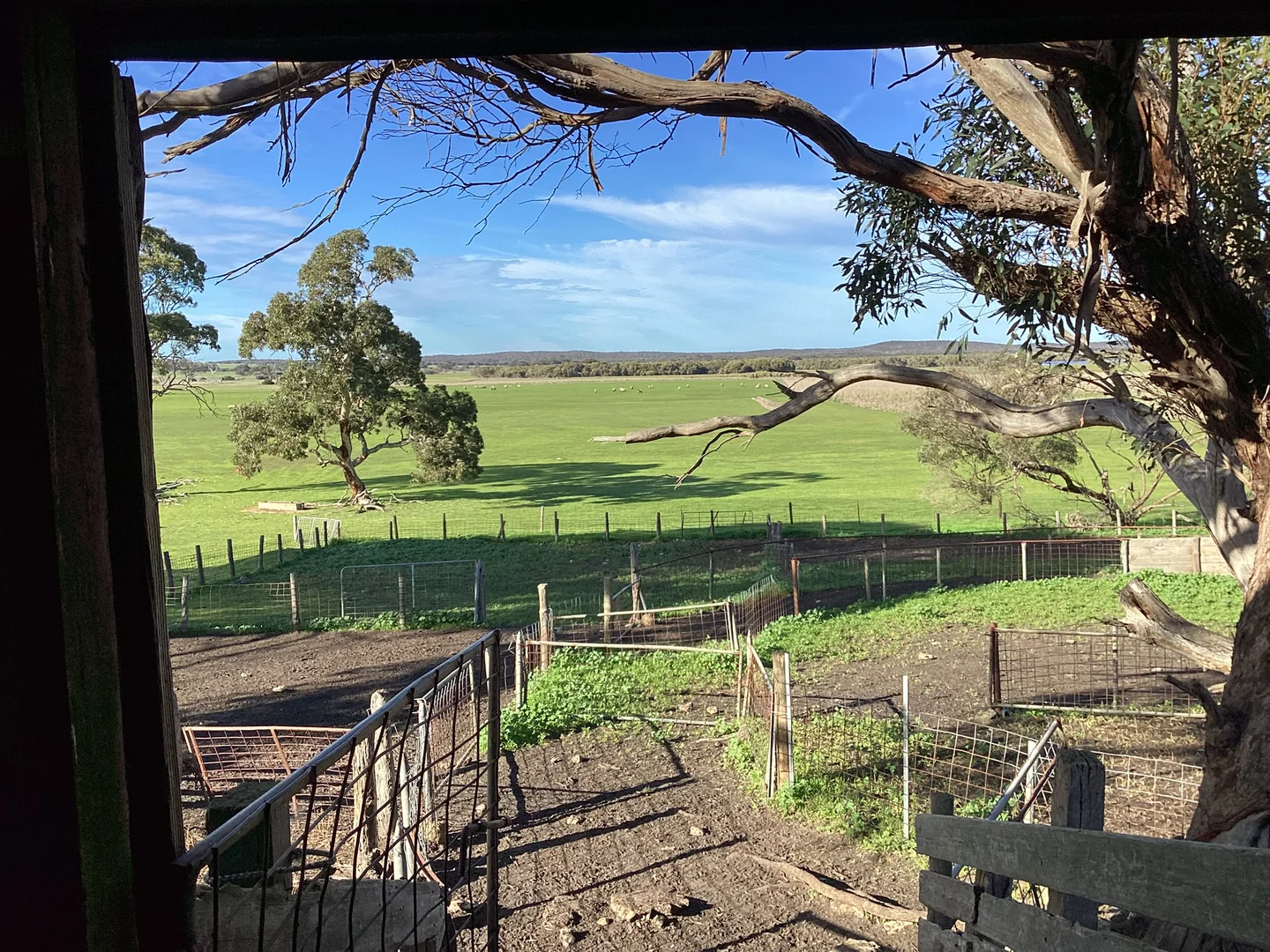 Additional image 6 of Lot 101 Schaefer Road, Seddon SA 5223