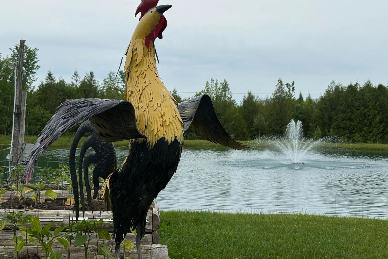 Additional image 19 of 314346 Rocky Church Road