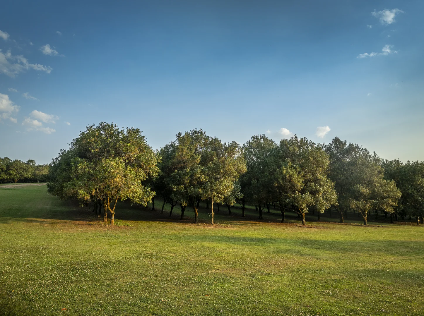 Additional image 12 of 70 Aural Vale Road, North Deep Creek QLD 4570