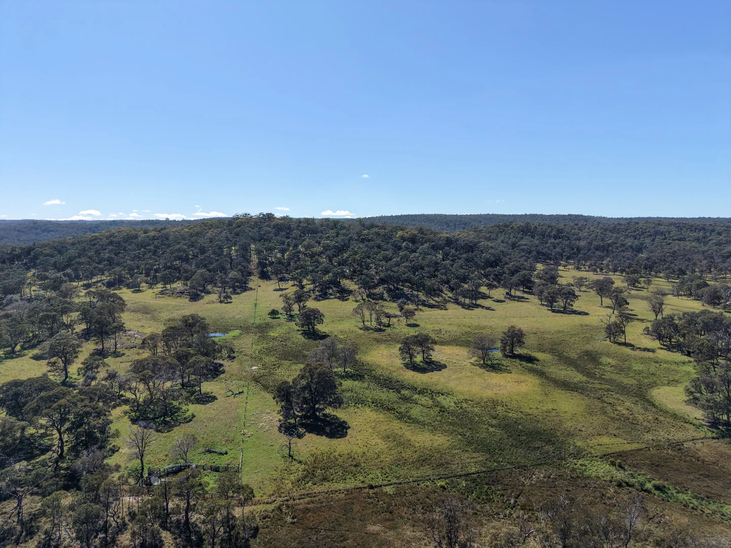 Additional image 23 of 2153 Mount Lindesay Road, Tenterfield NSW 2372