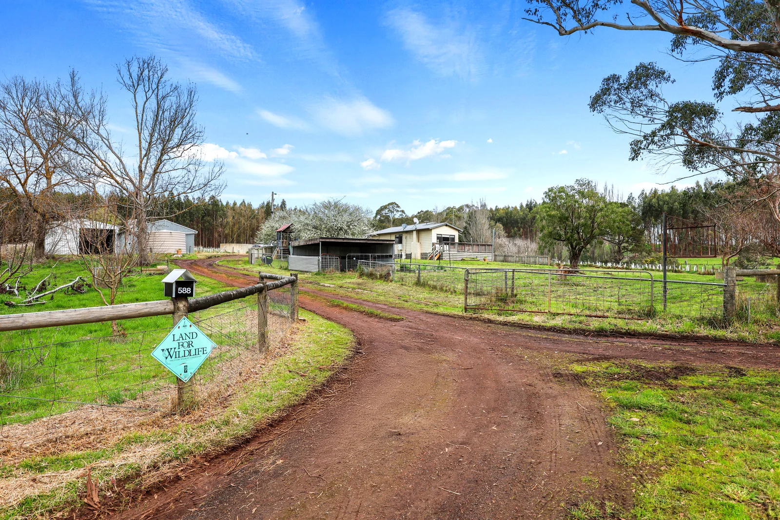 Additional image 16 of 588 Timboon-colac Road, Scotts Creek VIC 3267