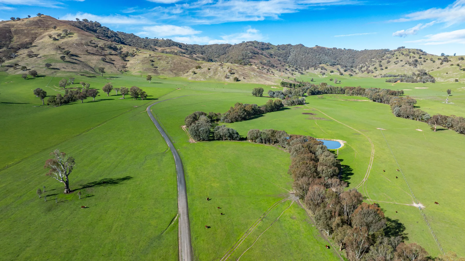 Additional image 5 of 3972 Murray River Road, Bungil VIC 3691