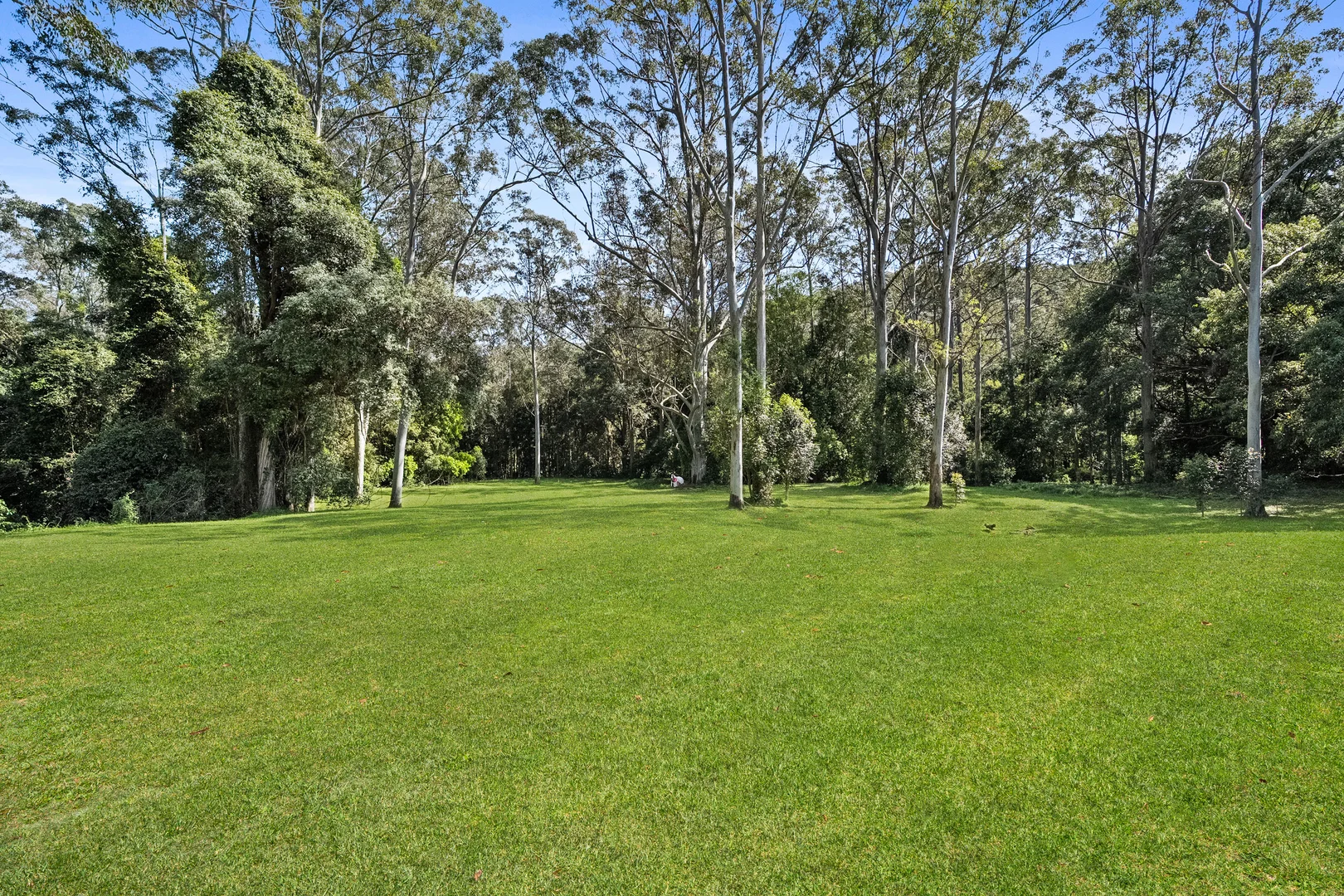 Additional image 30 of 413 Yarramalong Road, Wyong Creek NSW 2259