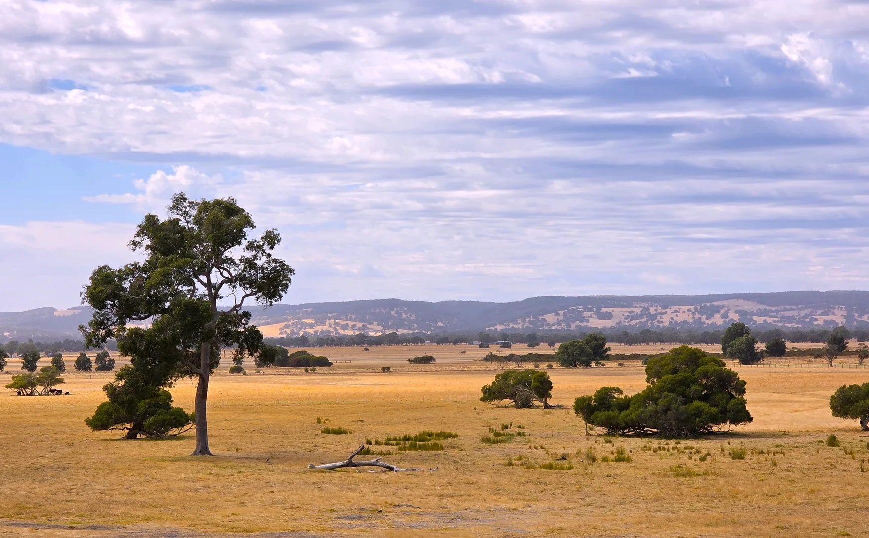 Additional image 33 of 235 Nicholson Road, Cookernup WA 6219