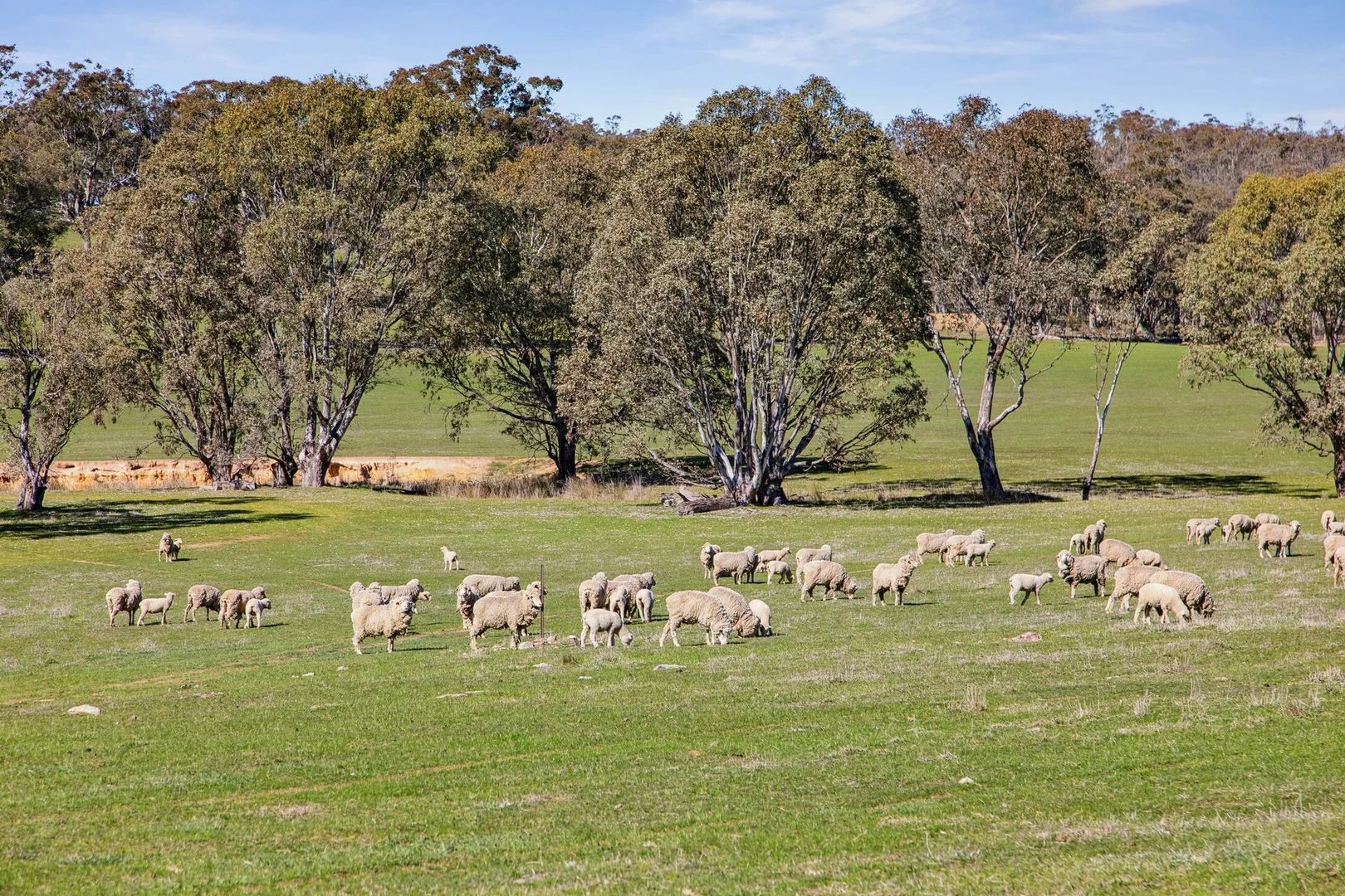 Additional image 20 of "Cairn Hill" Cnr Patons & Doles Road, Kimbolton VIC 3551