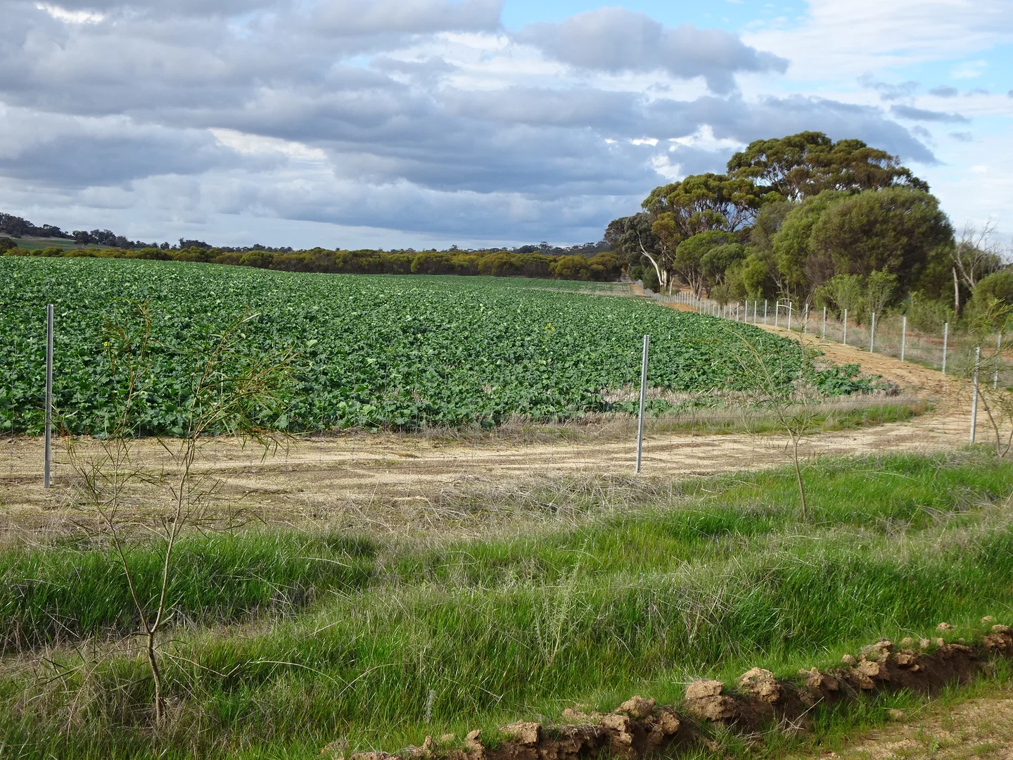 Additional image 4 of Grout Road, Cuballing WA 6311