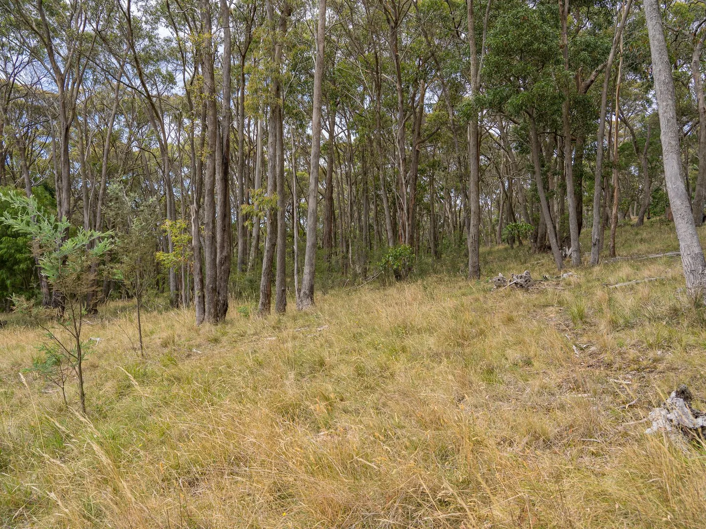 Additional image 6 of 50 Trounces Lane, Mount Egerton VIC 3352