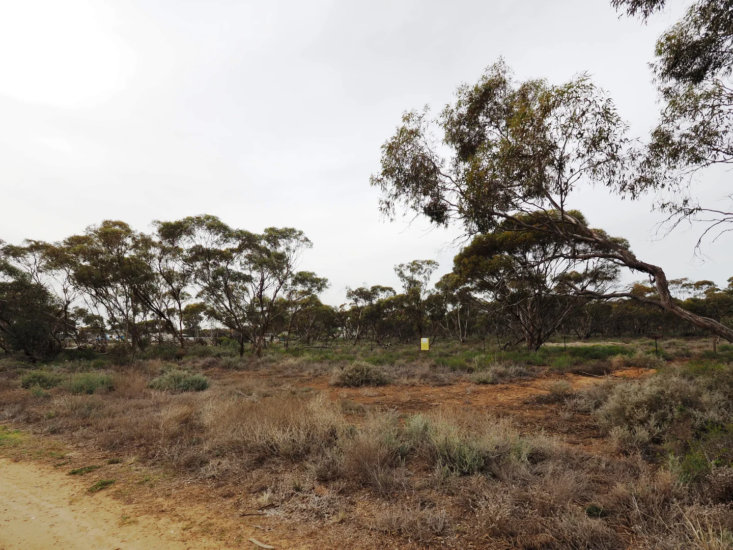 Additional image 16 of Lots 1-6, Towns Street, Chillingollah VIC 3585