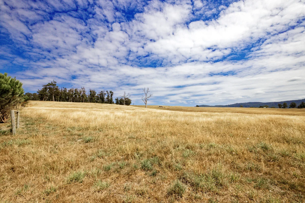 Additional image 13 of 110a Paling Track, Bangor TAS 7267