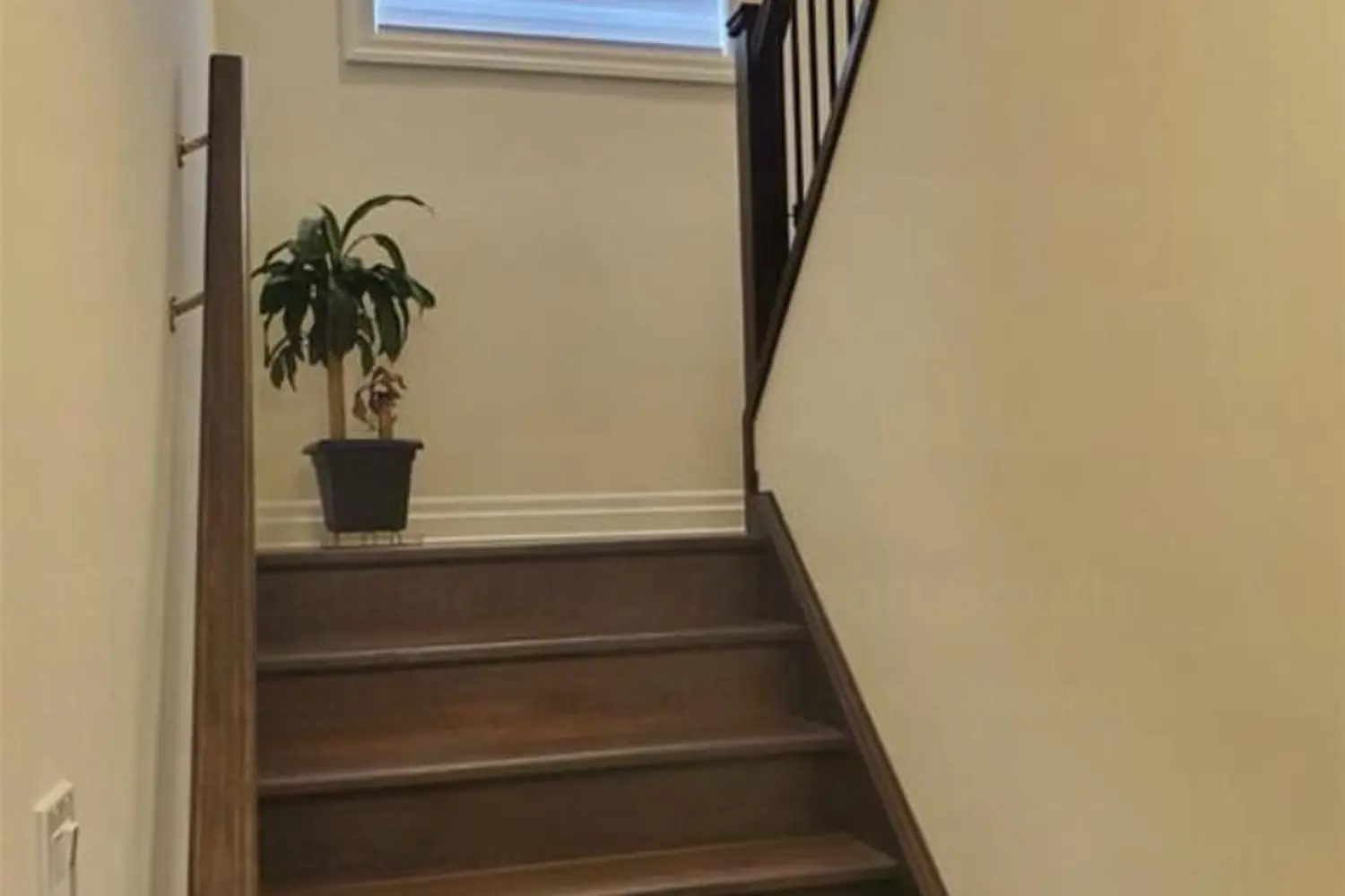 Additional image 4 of 2579 Sheffield Boulevard 21